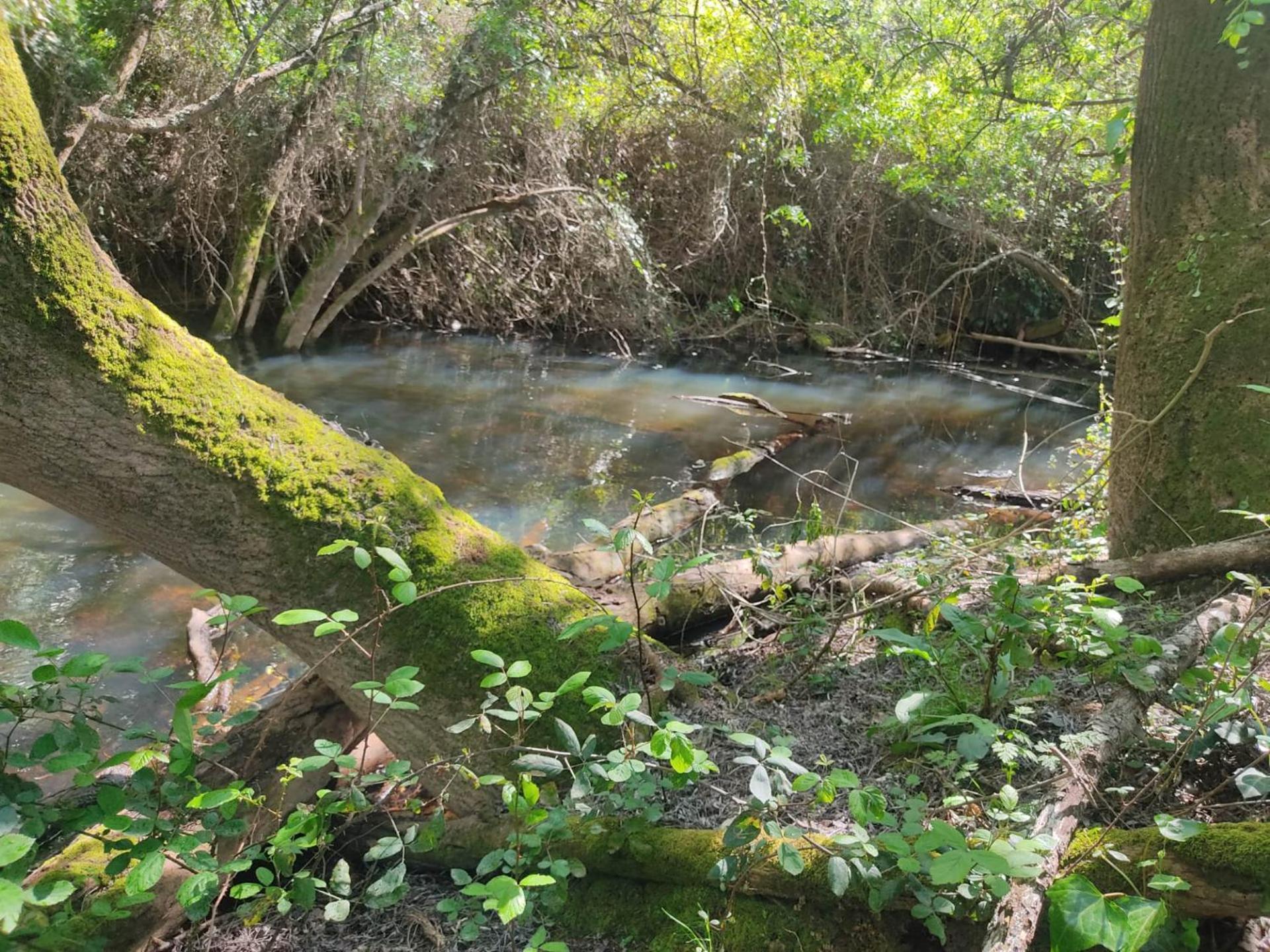 Herdade Da Maceira Villa São Luis Dış mekan fotoğraf