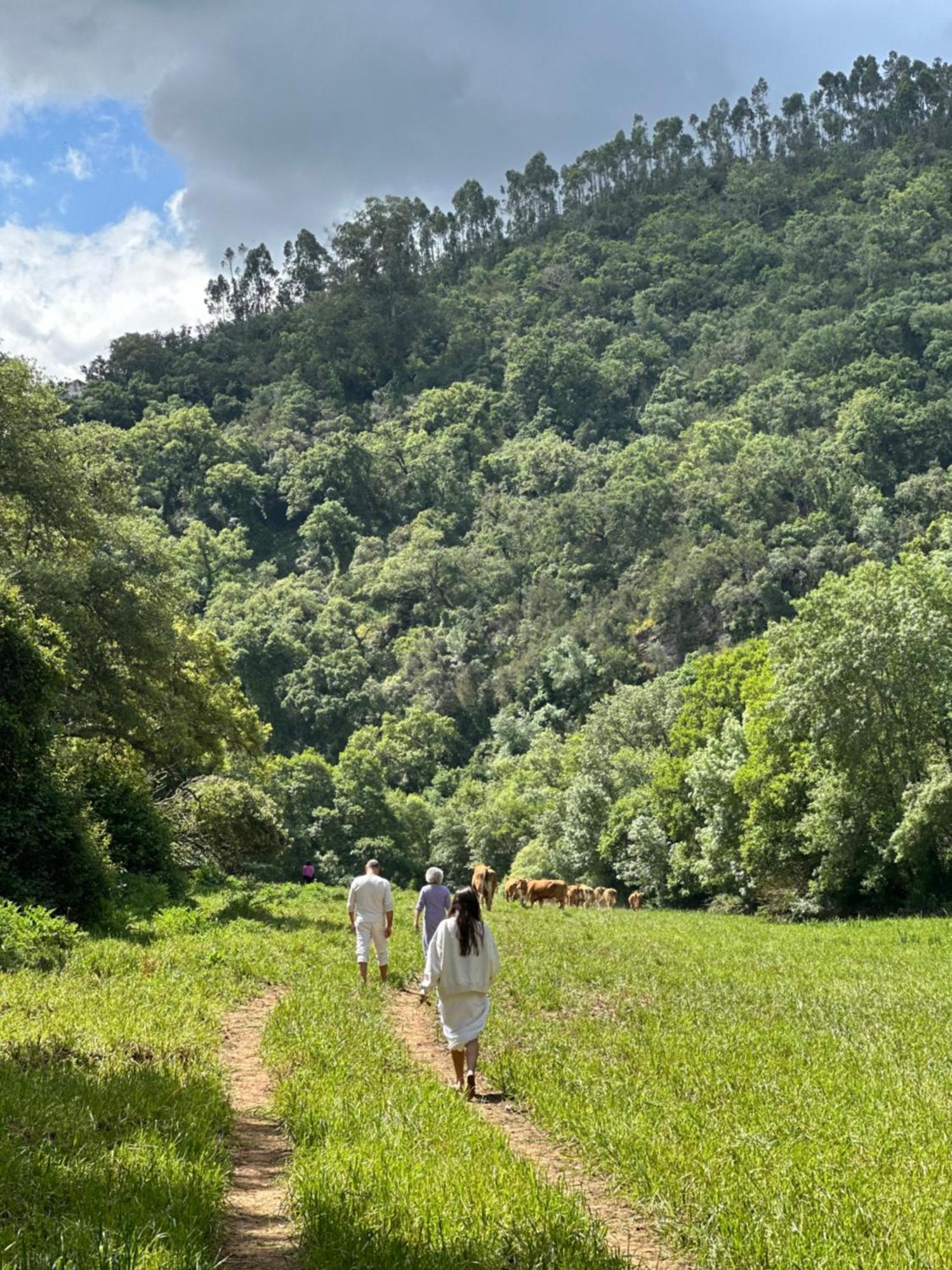 Herdade Da Maceira Villa São Luis Dış mekan fotoğraf