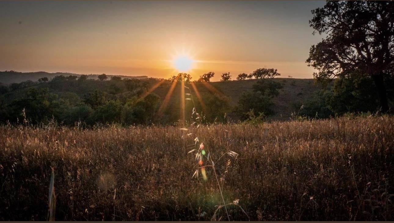 Herdade Da Maceira Villa São Luis Dış mekan fotoğraf